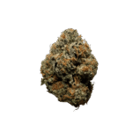 Stardawg Strain