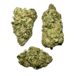 Trainwreck Strain - Image 2
