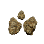 Gelatti Strain - Image 2