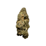 Kamikaze Sherbmoney Strain