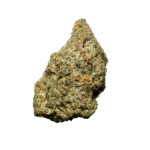 Black Cherry Gushers Strain