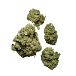 Gelato 33 Strain - Image 2